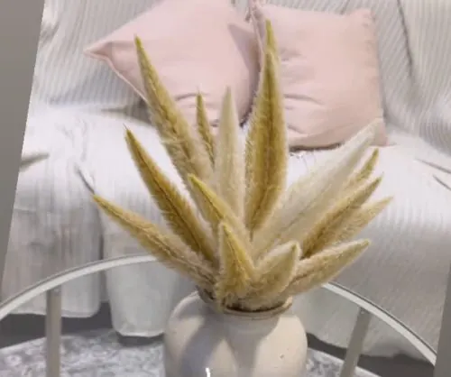 A soft corner with pink cushions and dried grasses